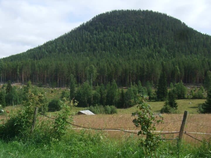Järvsö klack