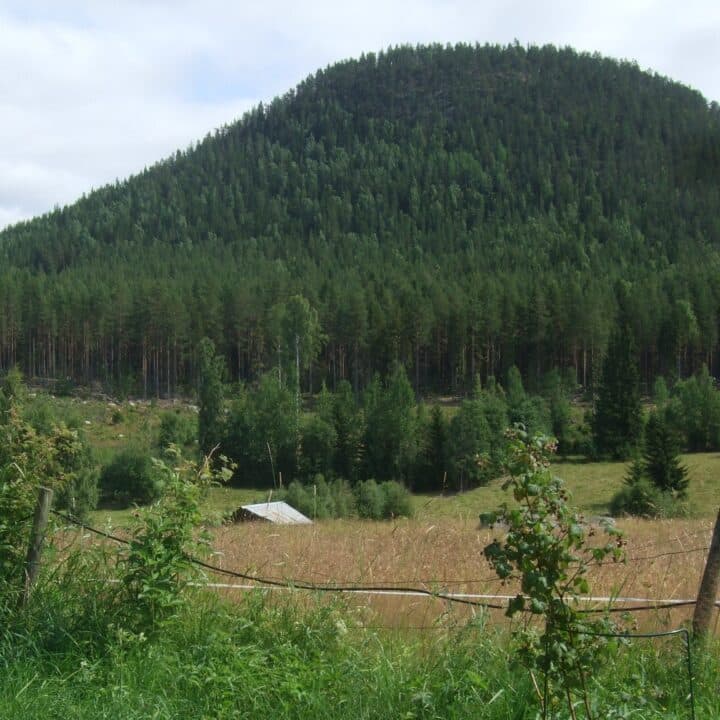 Järvsö klack